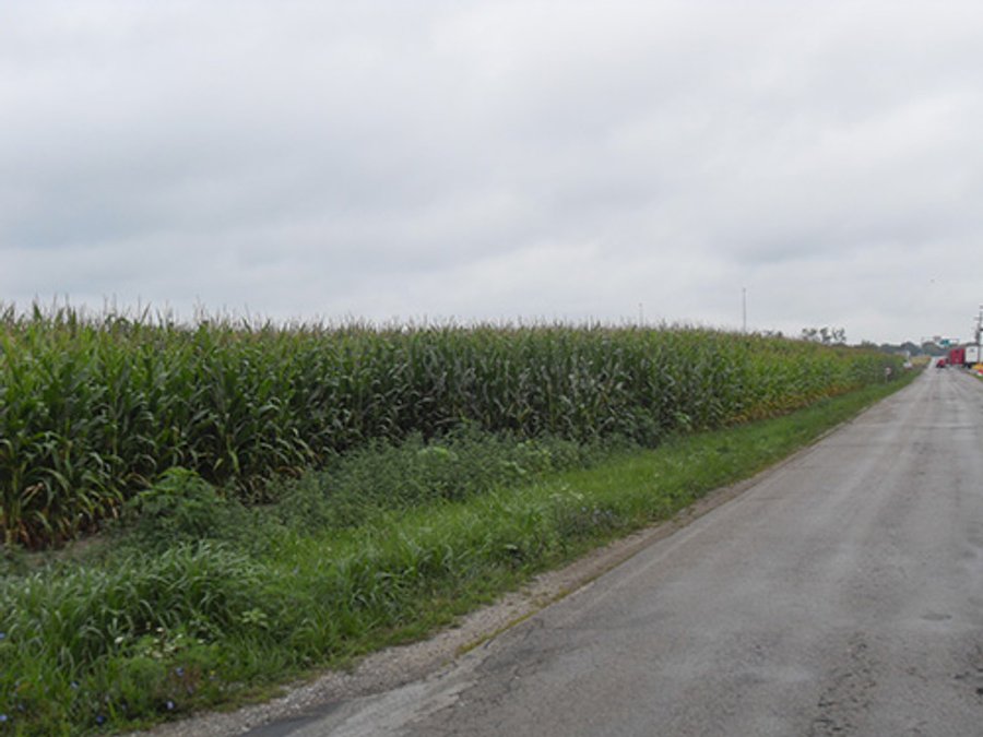 95+/- Acres offered in 3 Tracts, Land Auction